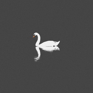 丰满人妻女人一区二区三
